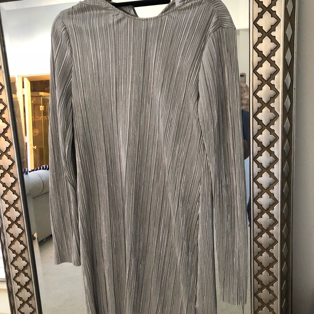 Silver Dress - Picture 2 of 3